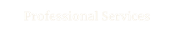 Professional Services
